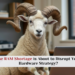 Hardware Delays: RAM Shortage